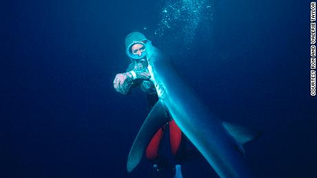 She filmed sharks for &#39;Jaws&#39; -- then she dedicated her life to protecting them
