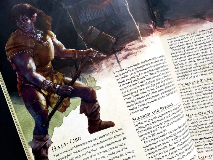 A half-orc, as depicted in the fifth edition of D&amp;D &rdquo;Player's Handbook.&rdquo;