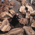 Ursula von Rydingsvard in her Williamsburg