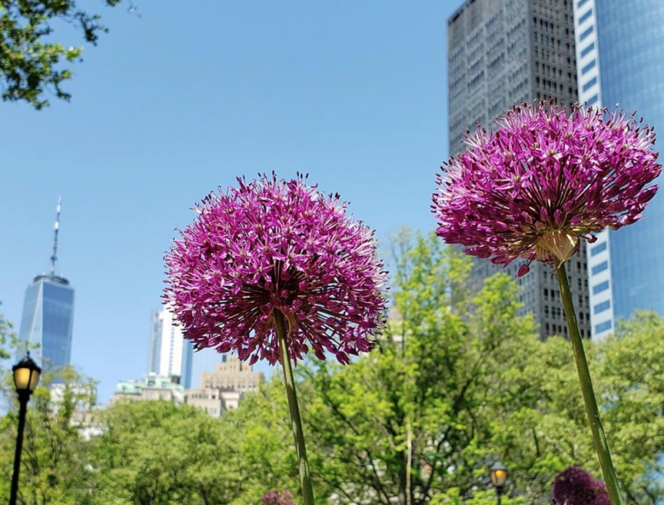 Battery Park