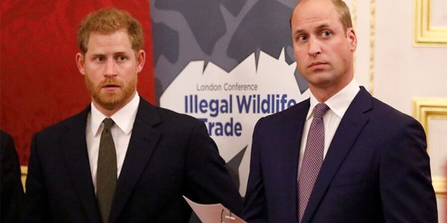 Britain's Prince Harry (left) and older brother Prince William.