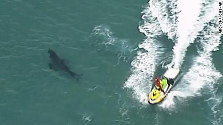 In this image made from aerial video, a jet ski passes over a shark swimming along the coast of Kingscliff, New South Whales, Australia, Sunday, June 7, 2020. 