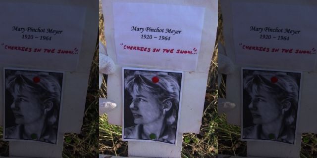 A non-official memorial along the C&amp;O Canal Towpath to Mary Meyer, who was shot and killed at the same place in 1964. Photo was taken on January 28, 2008, in Washington, DC.