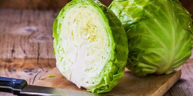 In the race to beat COVID-19, the winner could be cabbage.