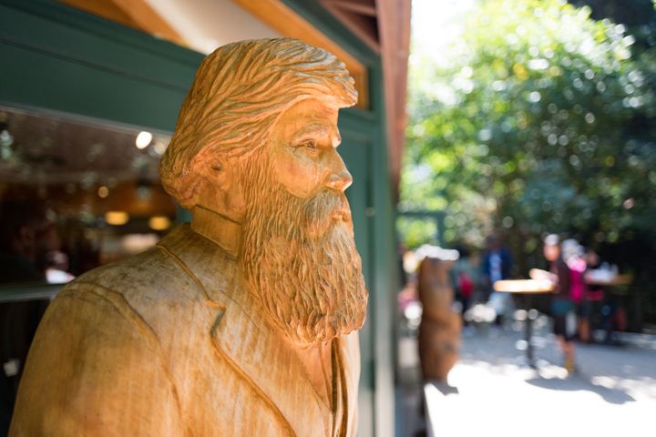 A carved, wooden statue of John Muir, who founded the Sierra Club, at Muir Woods National Monument, Mill Valley, California. 