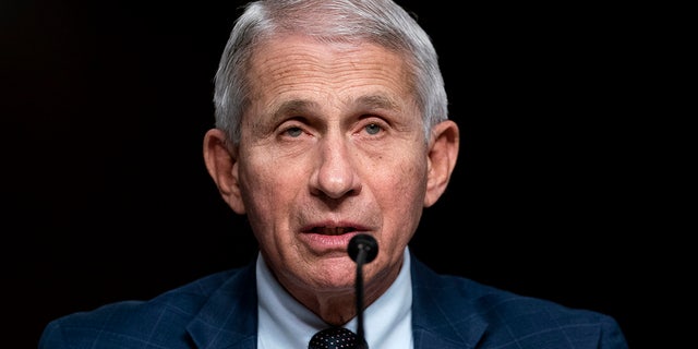 Dr. Anthony Fauci testifies on Capitol Hill last month. (Photo by Greg Nash-Pool/Getty Images)