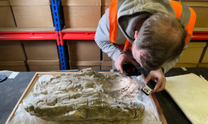 Rare pigment worth more than its weight in gold found in Roman infant burials in York, UK