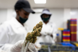 It Ain’t Just Bud: Black-Owned Brands That Contribute To The Cannabis Industry