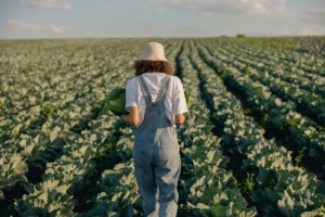 Black Farmers File Lawsuit Against USDA Over $127M In Cancelled Grants