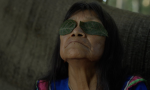 Documentary traces Sara Flores’s journey from the Amazon to the pinnacle of the art world