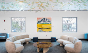 Houston cancer centre expands its art collection and curatorial ambitions